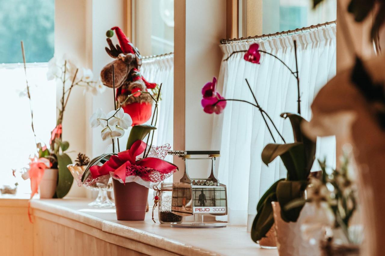 Gaia Residence Hotel メッツァーナ エクステリア 写真